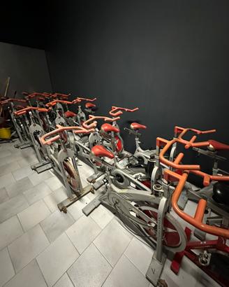 Spinning Schwinn original