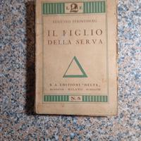il figlio della serva