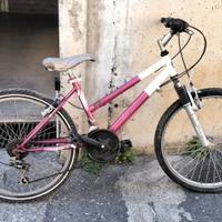 Bicicletta mountanbike