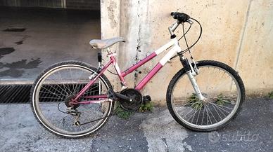 Bicicletta mountanbike