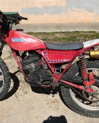 Fantic FM 250 - trial