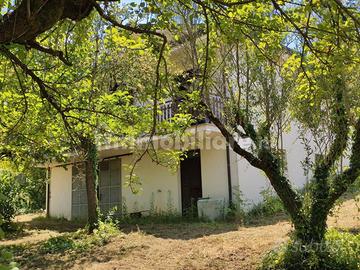 Villa unifamiliare con terreno