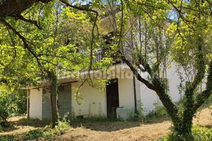 Villa unifamiliare con terreno