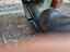 Immagine 1