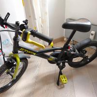 bici 20