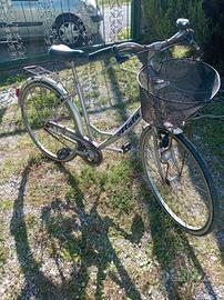 Atala donna