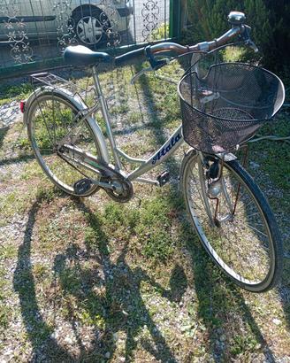 Atala donna