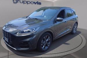 FORD Kuga ecoblue ST-Line X 2wd Automatica
