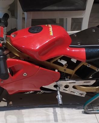 MiniMotoGP 