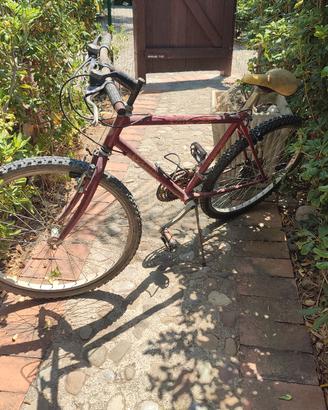 montambike misura 26