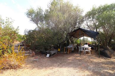 Terreno Agricolo Tortolì [Cod. rif 3164565VRG]