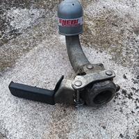 Gancio Traino Ellebi