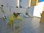 Immagine 18