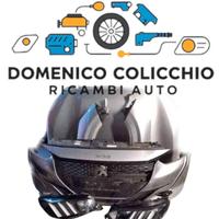 RICAMBI USATI PEUGEOT 208 2021