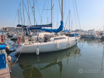 barca a vela 9,10 metri