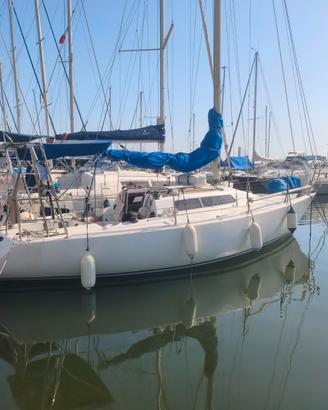 barca a vela 9,10 metri