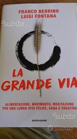 La grande via (Berrino e Fontana)