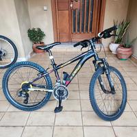 bici bottecchia nera 24 e bici gialla torpado 26