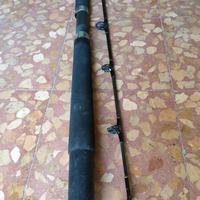 Canna da Traina Mitchell