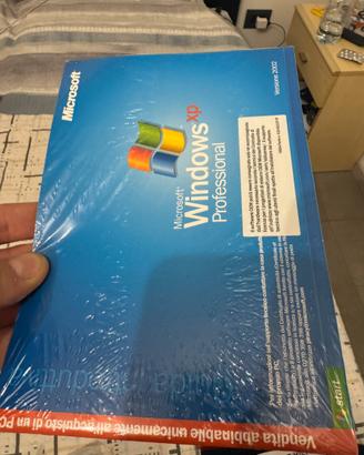 Windows xp professional 2002