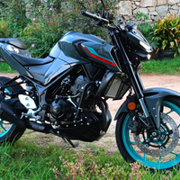 Yamaha MT 320