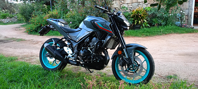 Yamaha MT 320