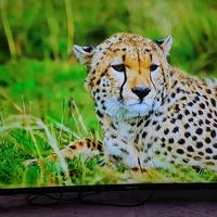 smart tv metz full hd 42"