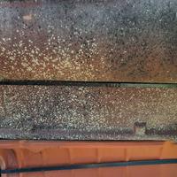 coppo portghese San Marco classico