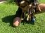 Immagine 5