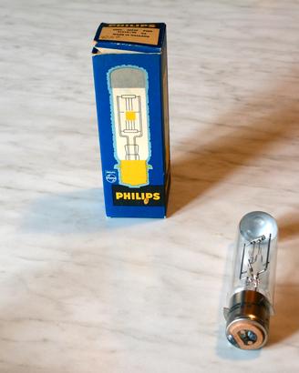 Lampadine per proiezione