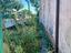 Immagine 29