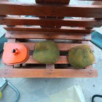 filtri aria e tappo Kawasaki kx prezzo regaloo