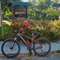 bicicletta assistita OLIMPIA MASTER,batteria 630 A