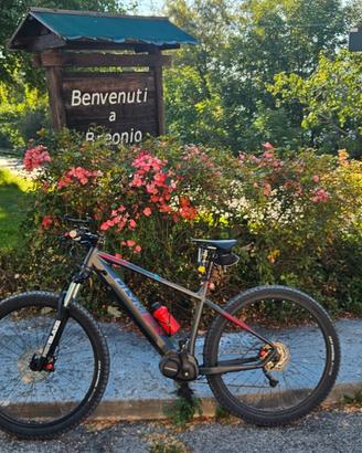 bicicletta assistita OLIMPIA MASTER,batteria 630 A