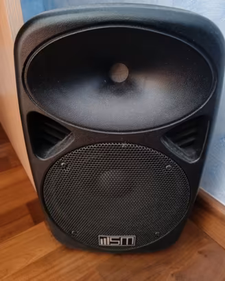Cassa audio speaker amplificata 123 decibel
