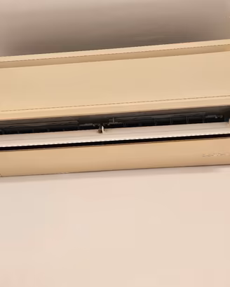 Condizionatore Daikin inverter