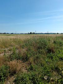 Terreno agricolo seminativo