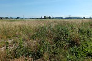 Terreno agricolo seminativo