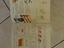 Immagine 3
