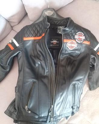 Giubbotto Harley