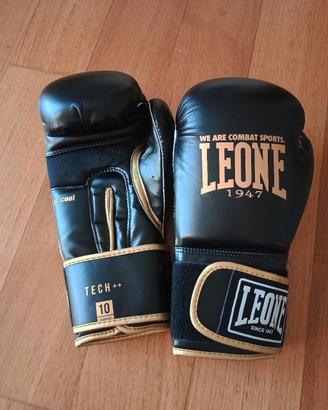 guantoni boxe / muay thai