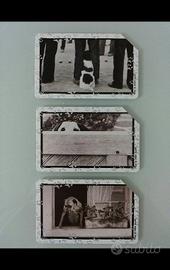 6 SCHEDE TELEFONICHE