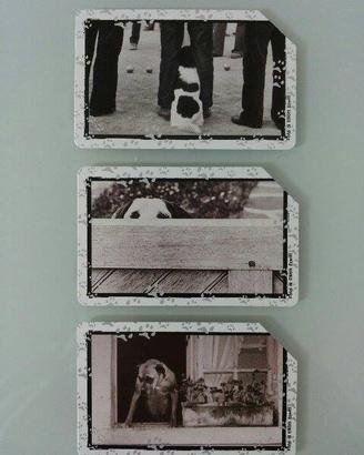 6 SCHEDE TELEFONICHE