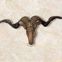 Testa di Kapala tibetano 