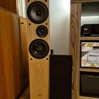 Proac response dt8