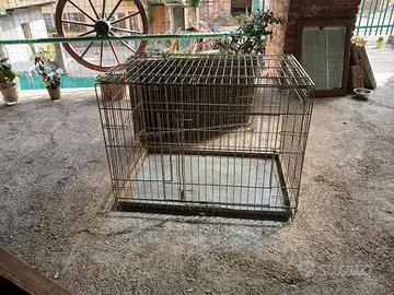 gabbie per cani