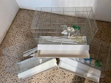 Gabbiette cova zincate  da 55 cm