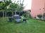 Immagine 12