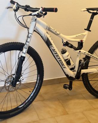 MTB Cannondale Professionale