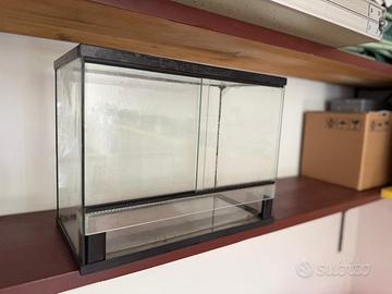 Terrario di vetro per rettili.